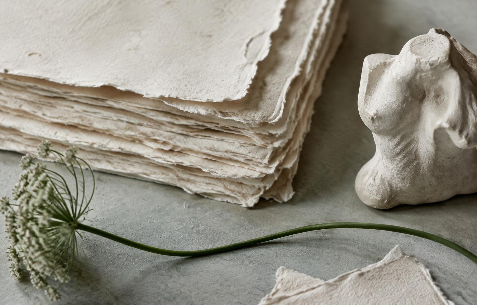 Handcrafted cotton paper, plaster and a green stem